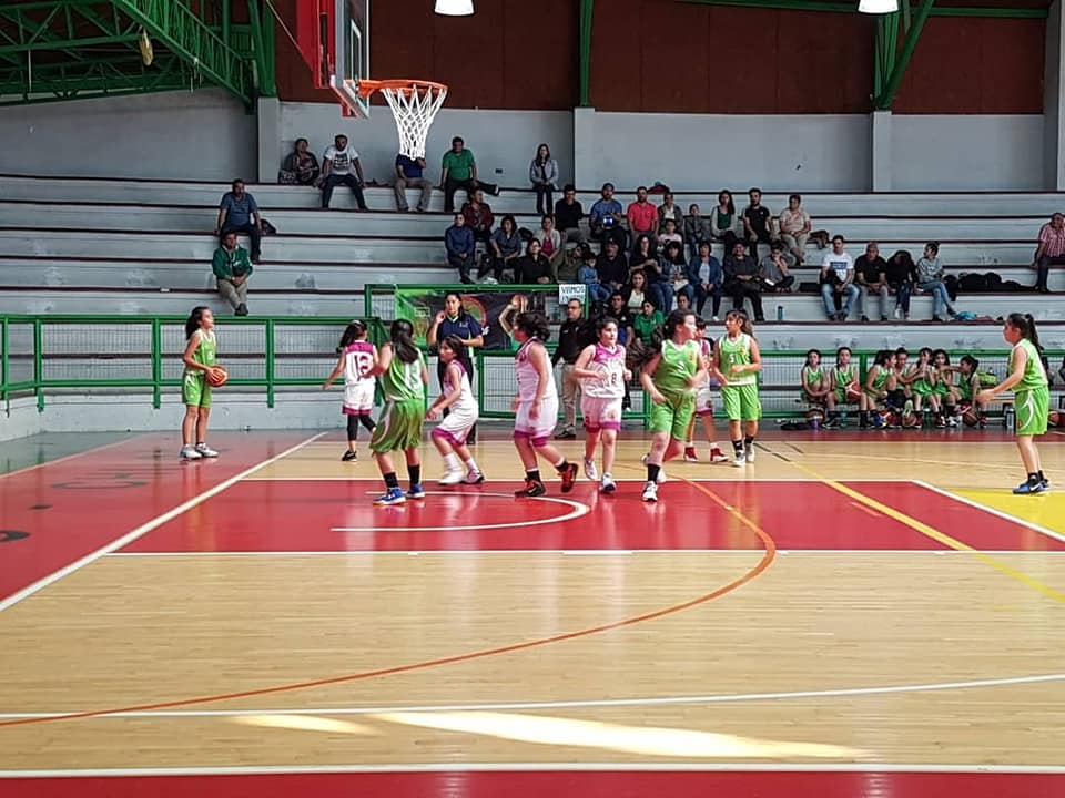El Descenso Amenaza A Deportes Castro En Femisur Radio Chiloe MRG